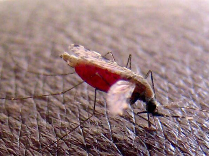 ASAAP clinical study of malaria treatment for children has started